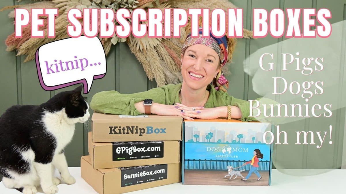 Best Pet Subscription Boxes 2023 The Pink Envelope